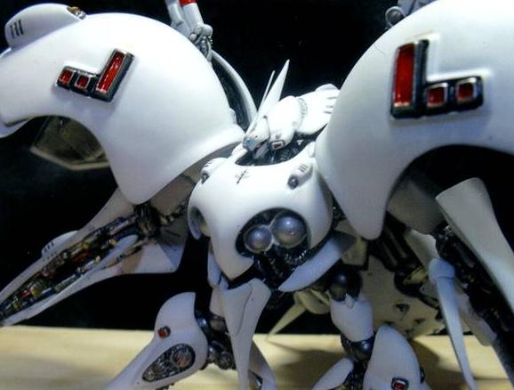 ����: img009