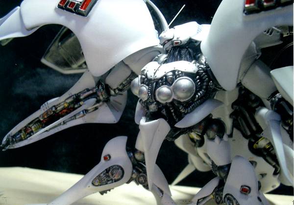 ����: img011